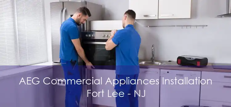 AEG Commercial Appliances Installation Fort Lee - NJ