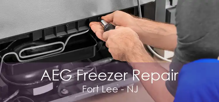 AEG Freezer Repair Fort Lee - NJ