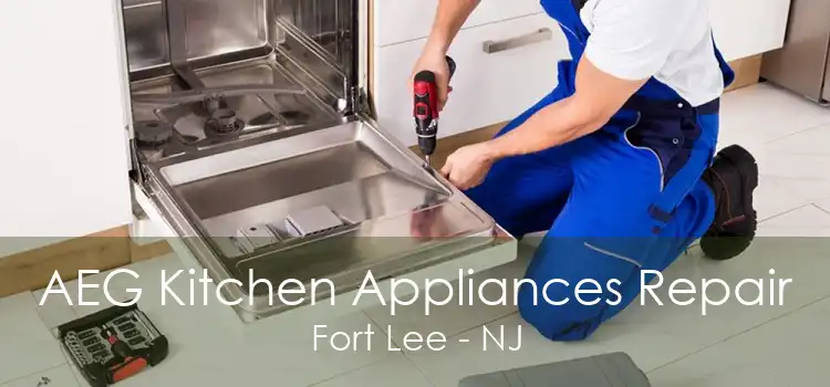 AEG Kitchen Appliances Repair Fort Lee - NJ