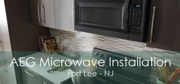 AEG Microwave Installation Fort Lee - NJ