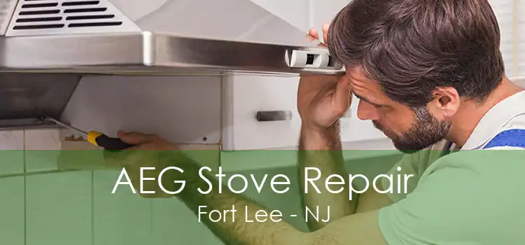 AEG Stove Repair Fort Lee - NJ