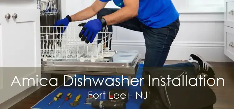 Amica Dishwasher Installation Fort Lee - NJ