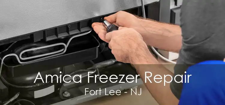 Amica Freezer Repair Fort Lee - NJ