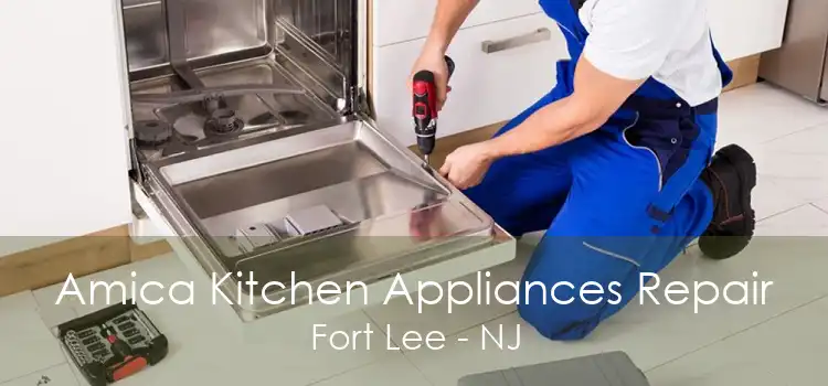 Amica Kitchen Appliances Repair Fort Lee - NJ