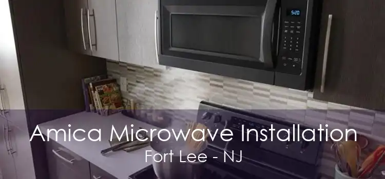 Amica Microwave Installation Fort Lee - NJ