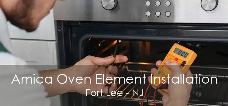 Amica Oven Element Installation Fort Lee - NJ