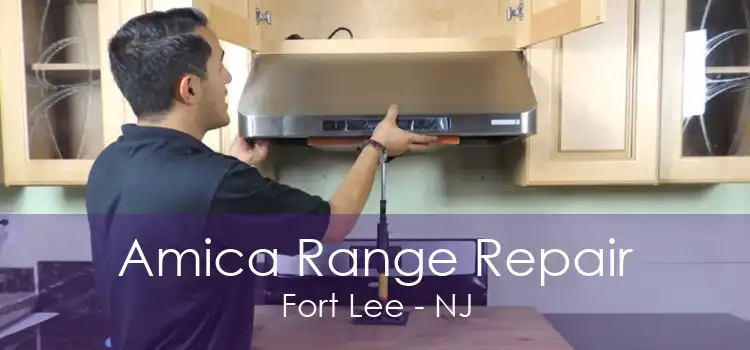 Amica Range Repair Fort Lee - NJ