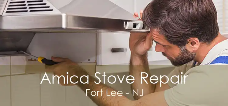 Amica Stove Repair Fort Lee - NJ