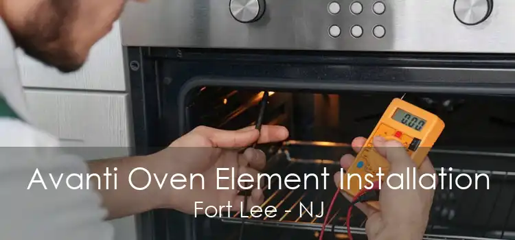 Avanti Oven Element Installation Fort Lee - NJ