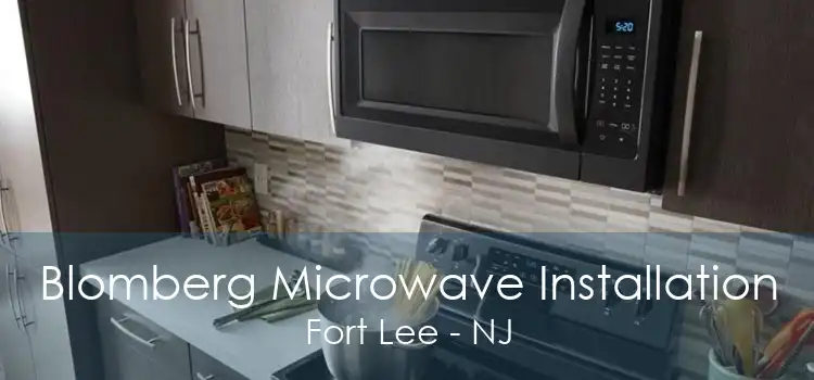 Blomberg Microwave Installation Fort Lee - NJ