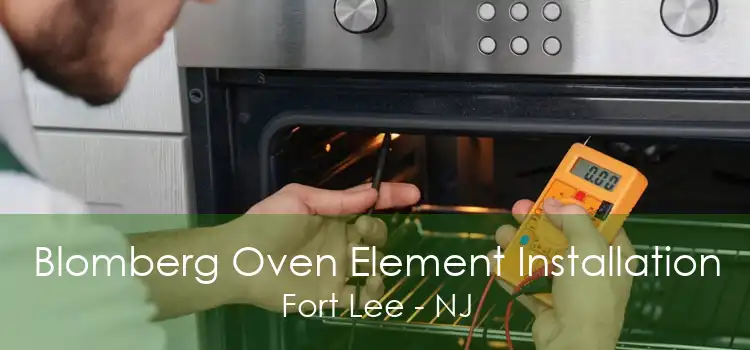 Blomberg Oven Element Installation Fort Lee - NJ