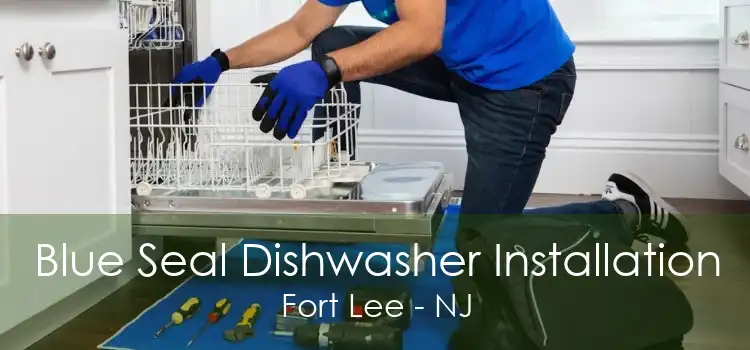 Blue Seal Dishwasher Installation Fort Lee - NJ