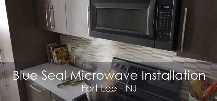 Blue Seal Microwave Installation Fort Lee - NJ