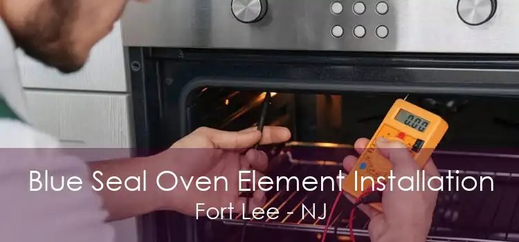 Blue Seal Oven Element Installation Fort Lee - NJ