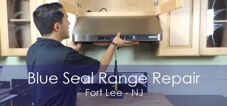 Blue Seal Range Repair Fort Lee - NJ