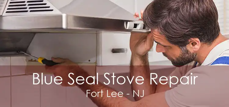 Blue Seal Stove Repair Fort Lee - NJ