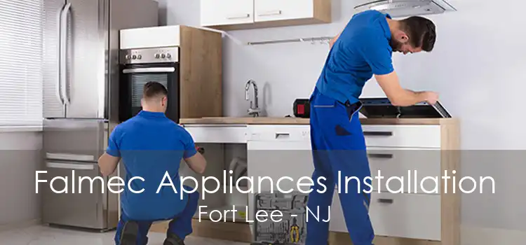 Falmec Appliances Installation Fort Lee - NJ