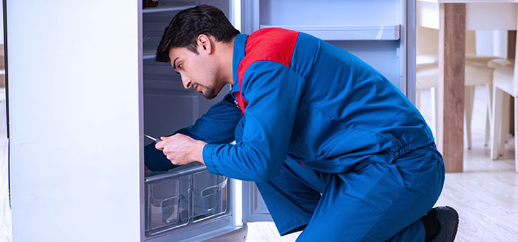 Inglis Freezer Repair Services in Fort Lee, New Jersey