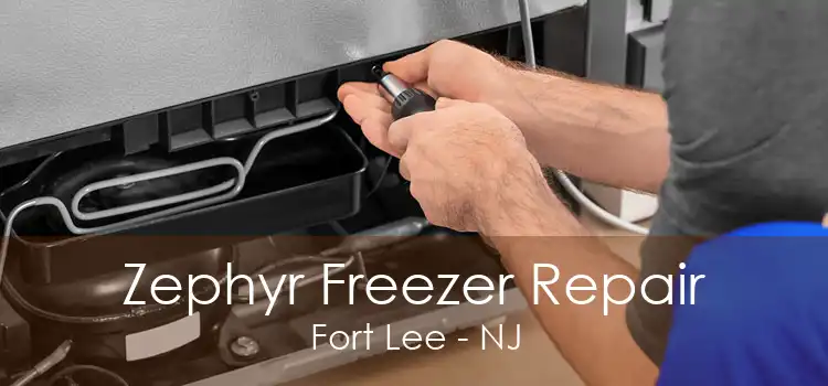 Zephyr Freezer Repair Fort Lee - NJ